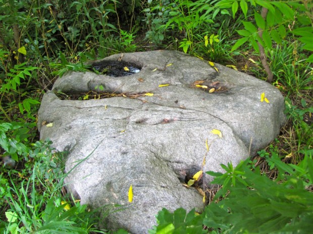 This large, flat rock in Estabrook Park with its two deep oval-shaped hollows, was thought to have been used by early Native Americans to grind corn. The rock was once quite a historic attraction for the park. It appears to be completely forgotten now. Photo by Carl Swanson